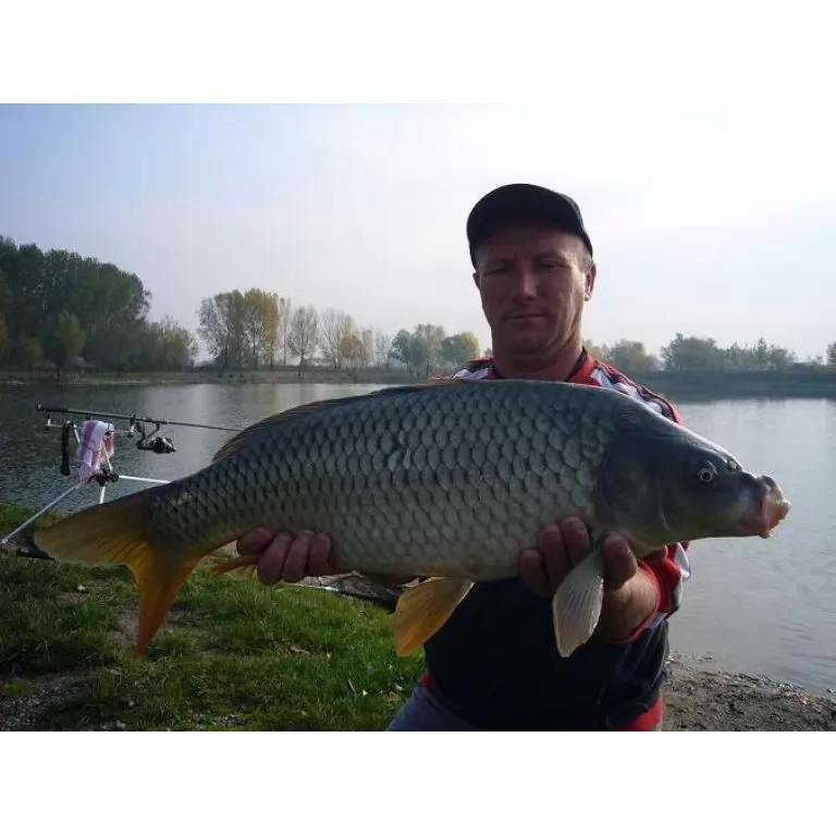 Misel Zadravec Carp Baits