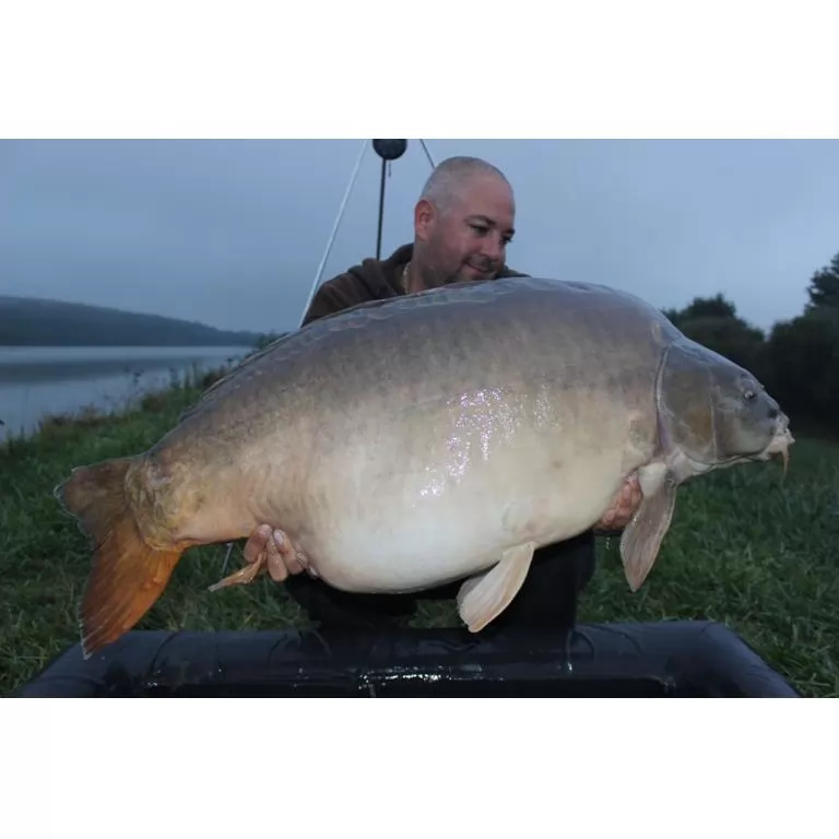 Zeusz 29.85 kg