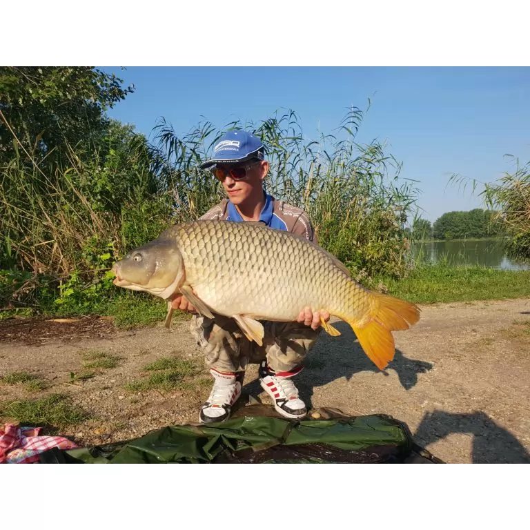 Legnagyobb pontyom súlya 19,30 kg