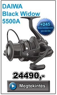 DAIWA Black Widow 5500A