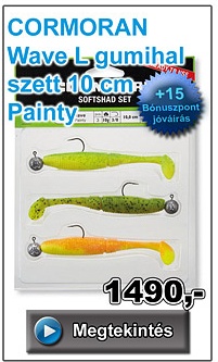 CORMORAN Wave L gumihal szett 10 cm - Painty