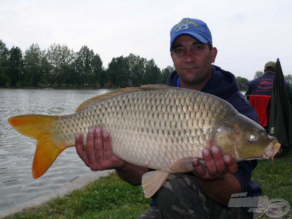 Borsos Gábor és egy 6 kg-os ponty