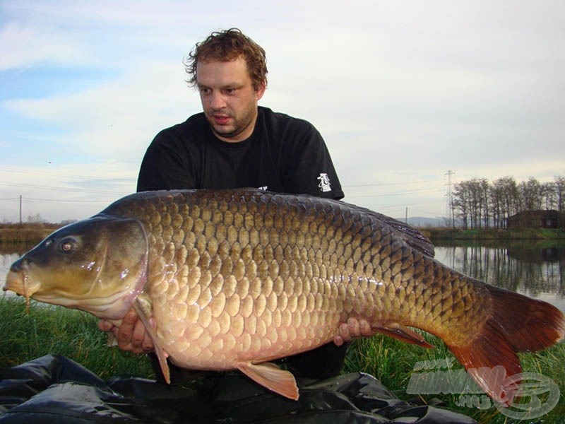 Bazika Sinisa fergeteges hala: 34,05 kg! A gyönyörűséget a már sokat bizonyított Monster Crab jellegű bojlival sikerült kifogni, amely a hideg vízi széria típusaiból származik