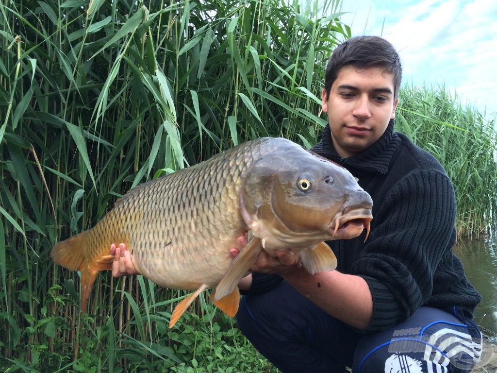 9,5 kg-os bónusz ponty