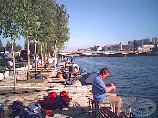 Ragyogó napsütésben, a város szívében horgászunk