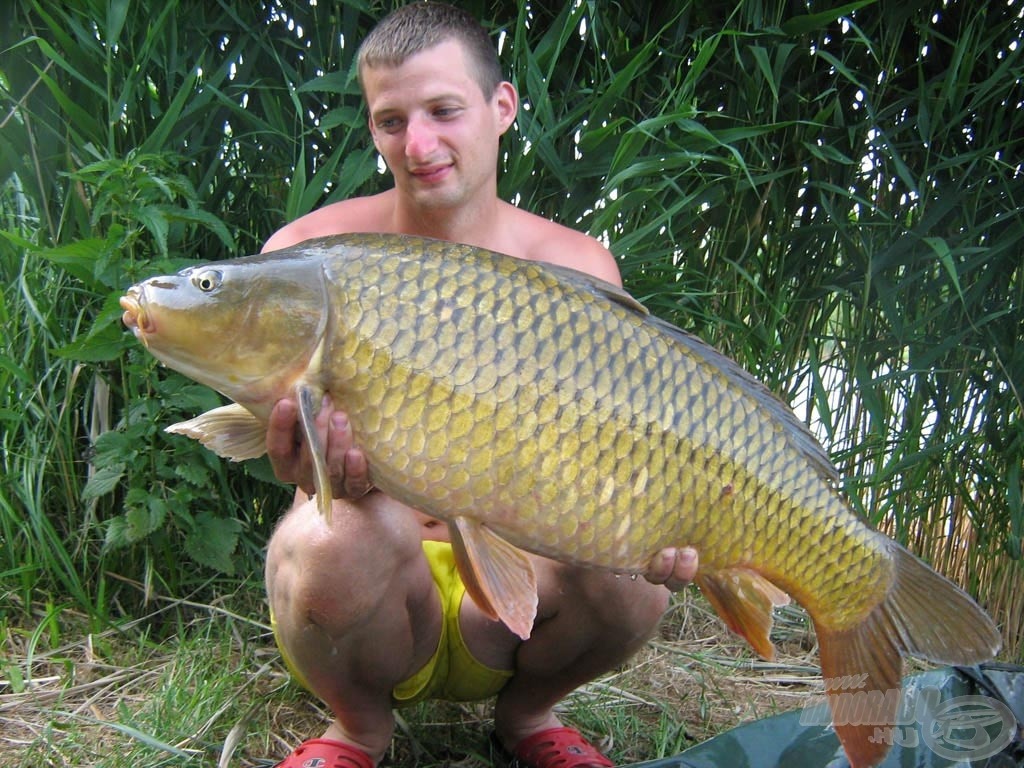 A tőpontyokat is kedvelem!