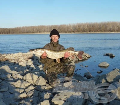 Kereken 7 kg-os csuka a Dunából!