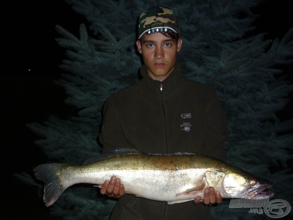 Halszeletre kapó 7,5 kg-os dunai süllőm