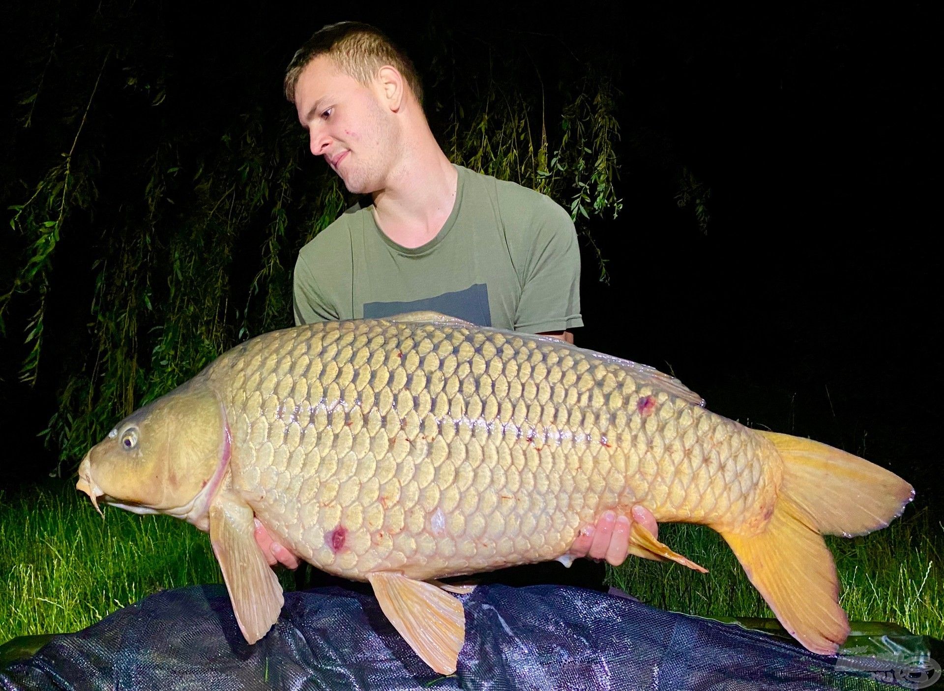 36 óra alatt a harmadik 20 kiló feletti ponty a csalijainkkal, gratulálunk, Krisztián!