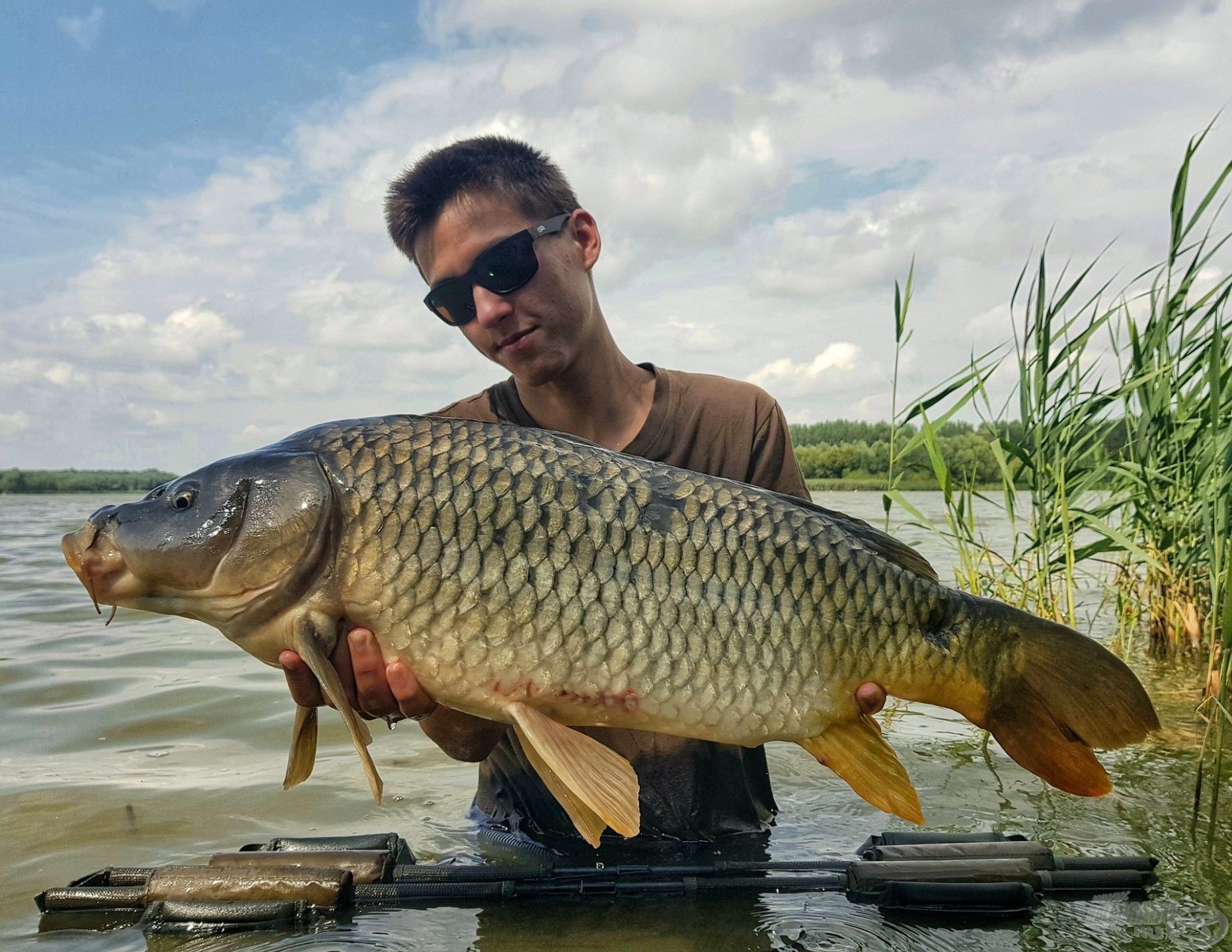 Ezek a halak mindennap túlélnek, némelyiket számtalan egyedi vonás ékesíti