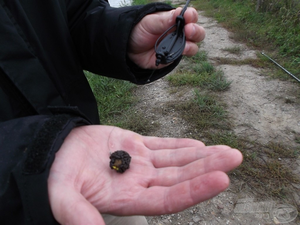 Nagy kedvencem a Carp Bonbon, mindig segít kiválogatni a „nagyját”