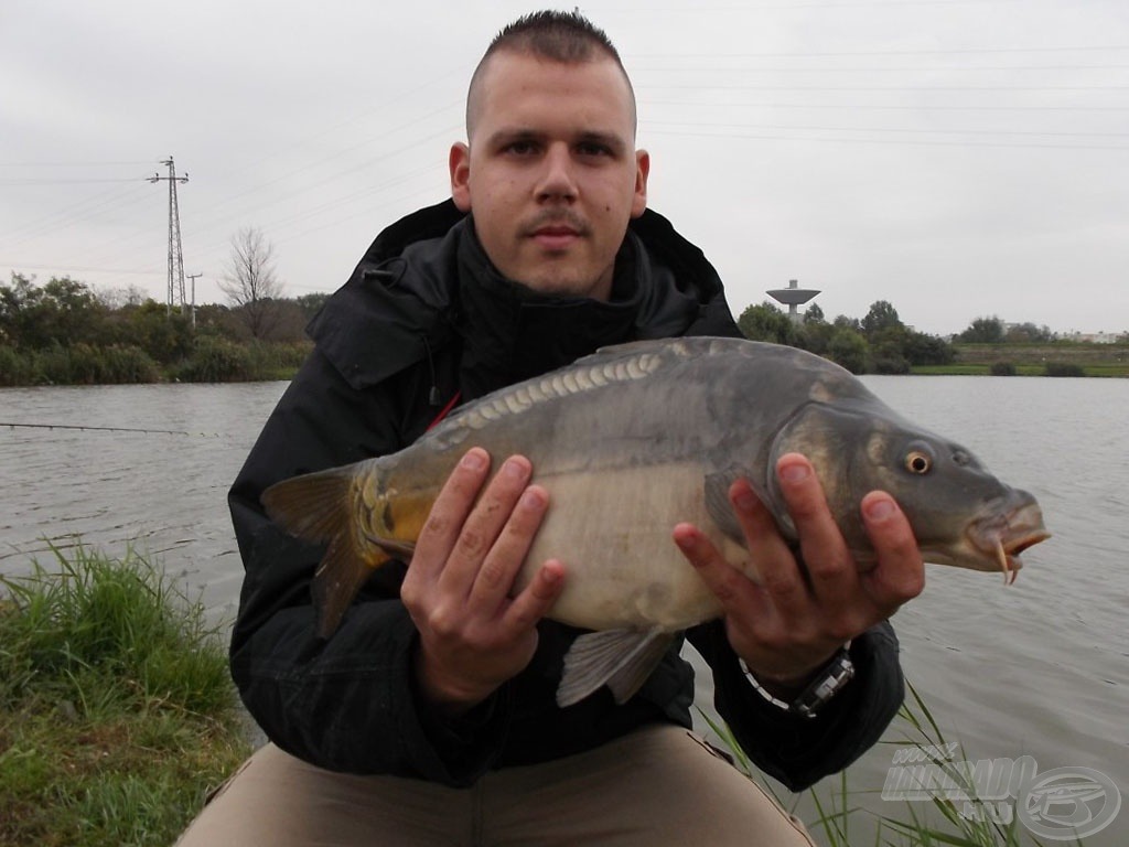 Főként ezek a 2-3 kg közti pontyok jöttek azon a napon…