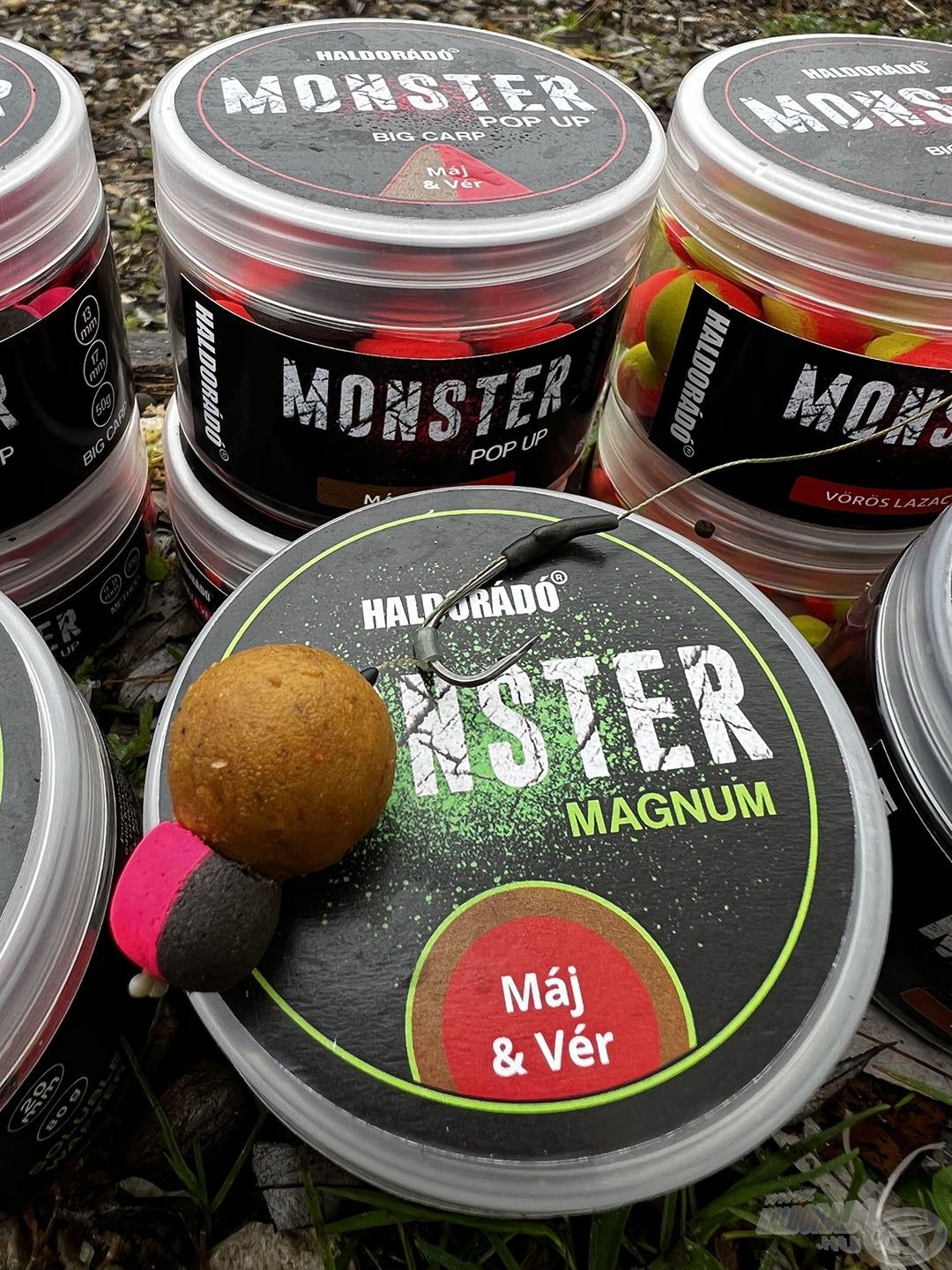 A legnagyobb pontyokat a Haldorádó MONSTER MAGNUM Vér & Máj + MONSTER Pop Up Big Carp Tintahal & Áfonya csali kombinációjával tudtuk megfogni