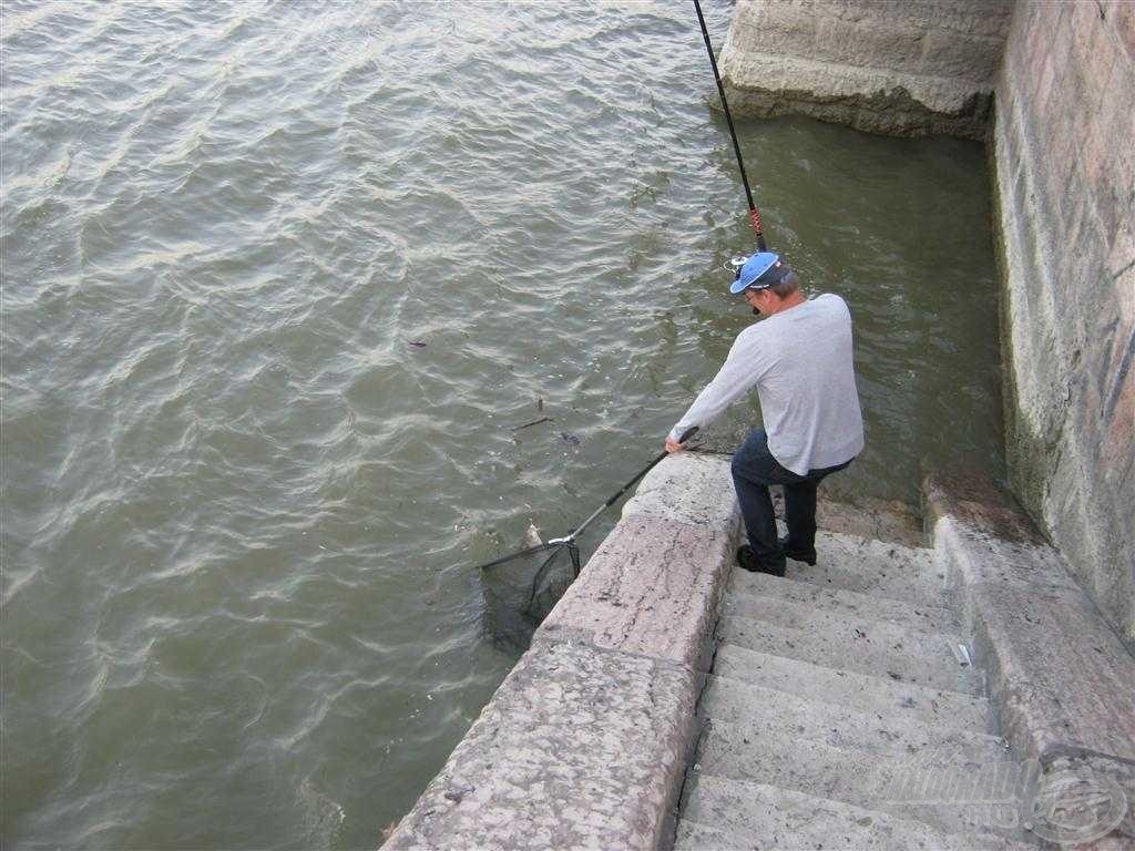 Ezen a képen látszik a legjobban az, hogy miért fontos számomra a lépcsők közelsége. Szépen le lehet sétálni a halhoz és…