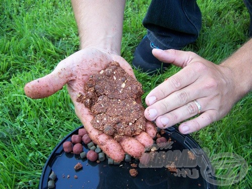 Vegyünk egy kis adag etetőanyagot a kezünkbe, és tegyünk a közepébe néhány szem egész vagy morzsolt bojlit, néhány szem halas pellet kíséretében