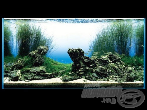 Egy gyönyörű, Iwagumi stílusban alkotott akvárium