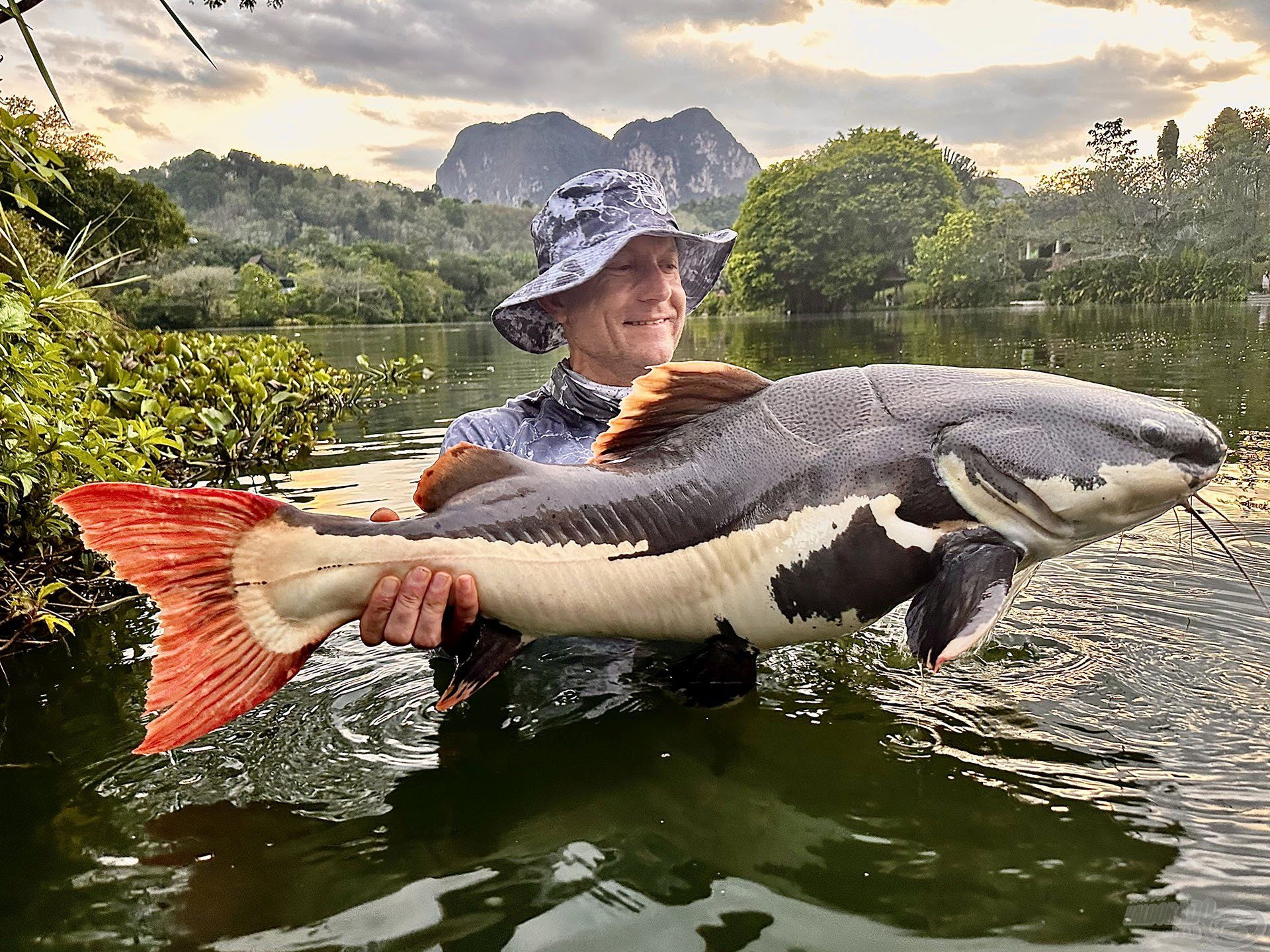 A Gillhams Fishing Resort talán a világ egyik legismertebb nagyhalas tava Thaiföldön, megannyi különleges hal lakhelye és utolsó menedéke