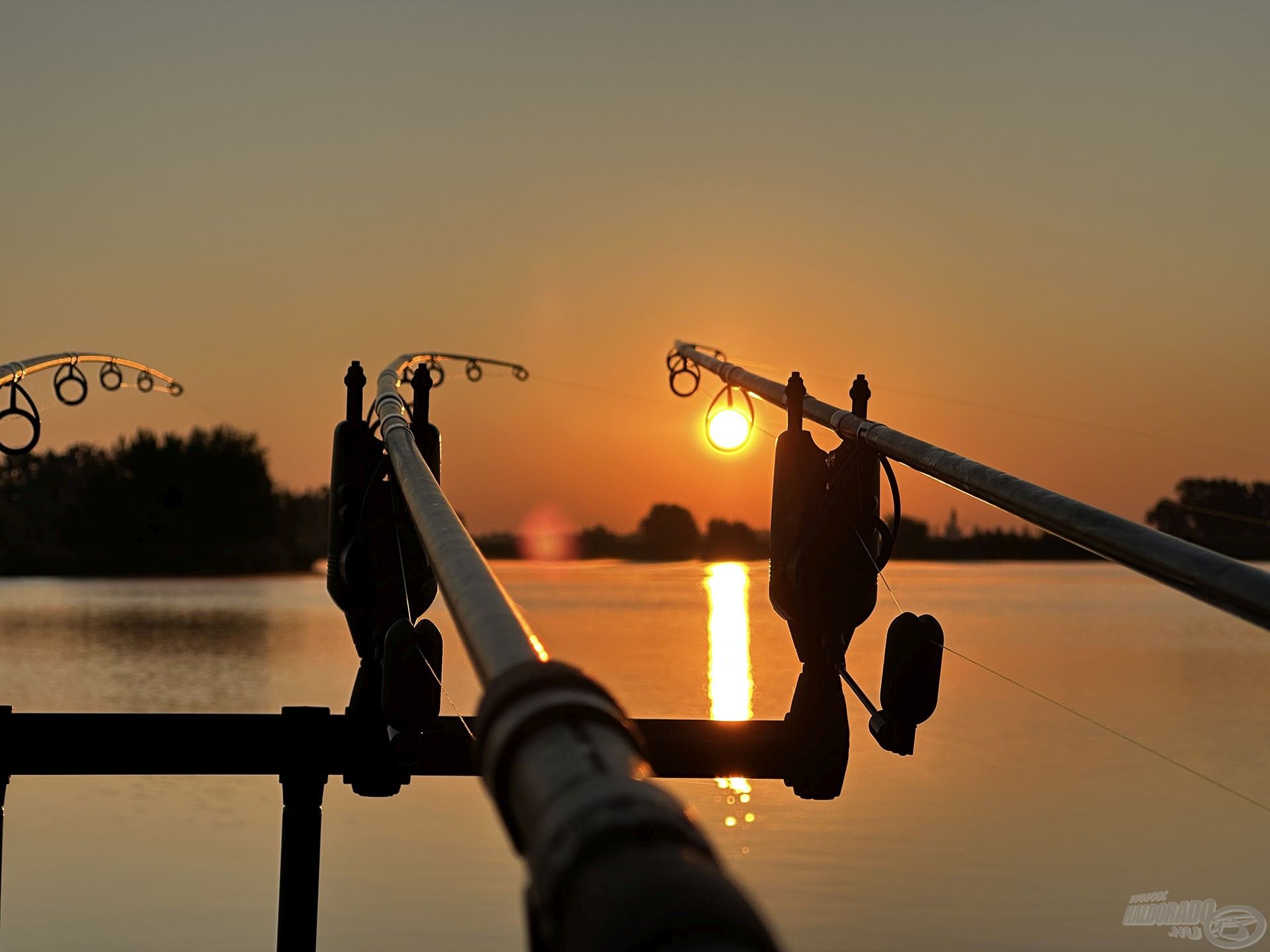 Idén tavasszal sokat horgásztam a Balatonon, illetve nyáron különféle nagy bányatavakon…