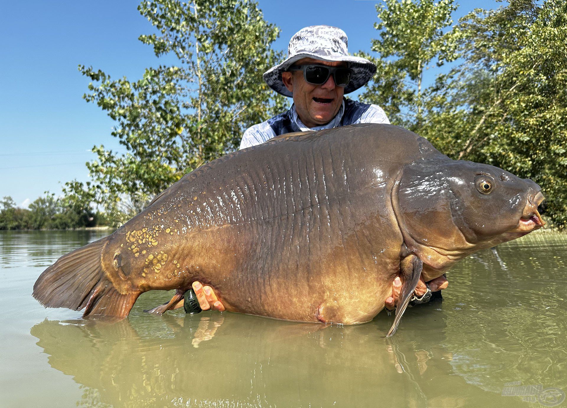 Ennek köszönhetem a 30,90 kg-os tükörponty-rekordomat…