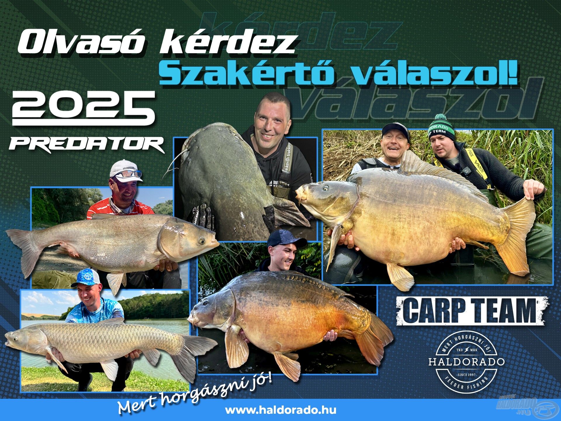 A szakértő válaszol! – 184. rész