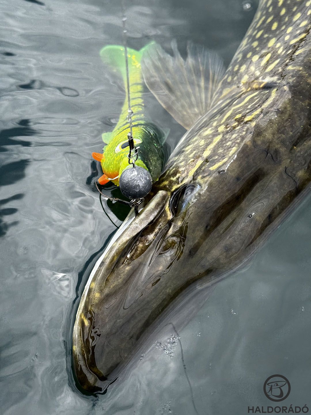 Számomra a nagyobb, 20 cm feletti méretű csalik váltak be leginkább
