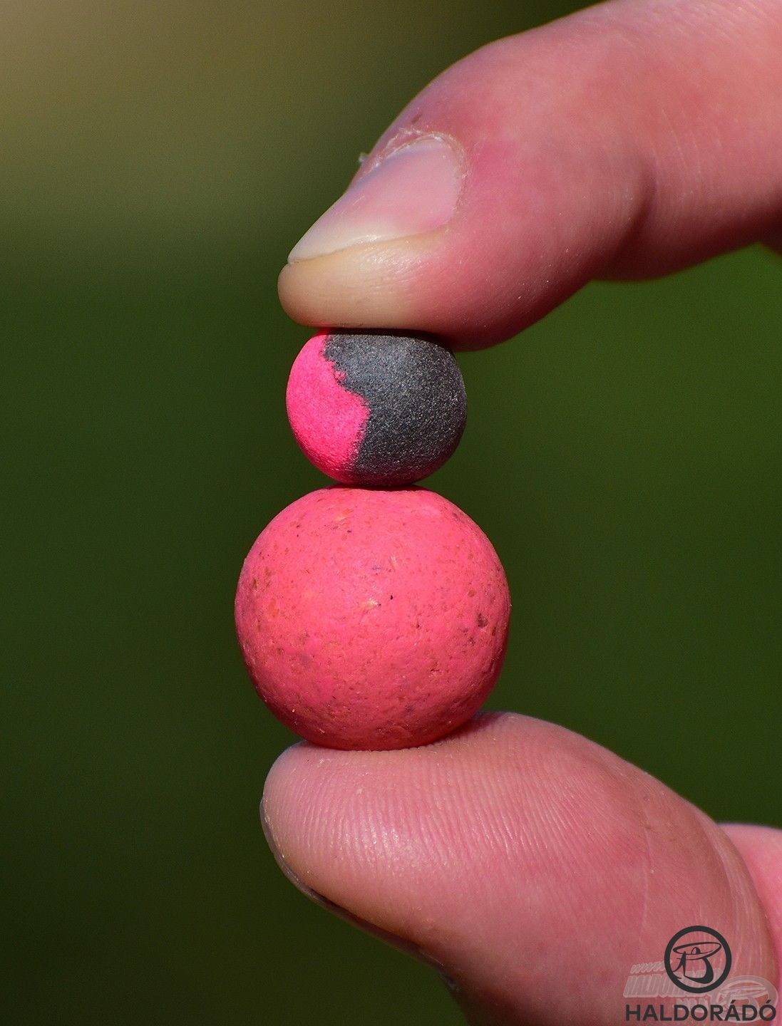 Csalizáshoz kombinálj egy szem MONSTER Magnum és egy 13 mm-es MONSTER Pop Up Big Carp - Tintahal & Áfonya golyót!