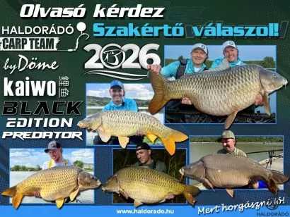 A szakértő válaszol! – 226. rész