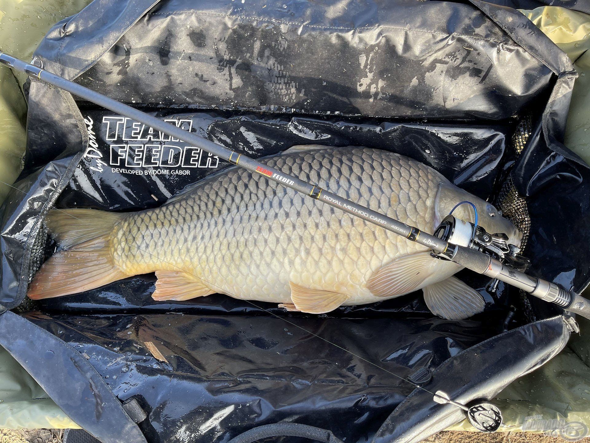 Method technikára optimalizálva, nagy pontyokhoz hangolva, távoli dobásokhoz alakítva. Ez a Royal Method Carp 420XH!