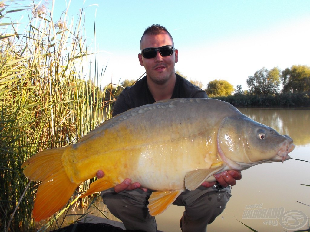 Gyönyörű tükrös, közel a 10 kg-hoz