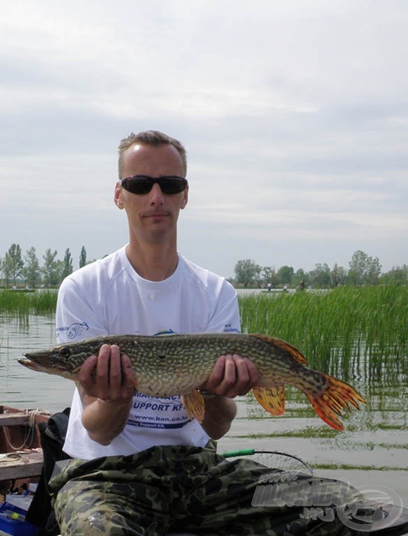 Szebbecske a zöldségből