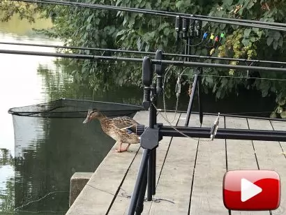 Ajándékötletek pontyhorgászoknak 2. rész – Minőségi rod-podok és bottartók