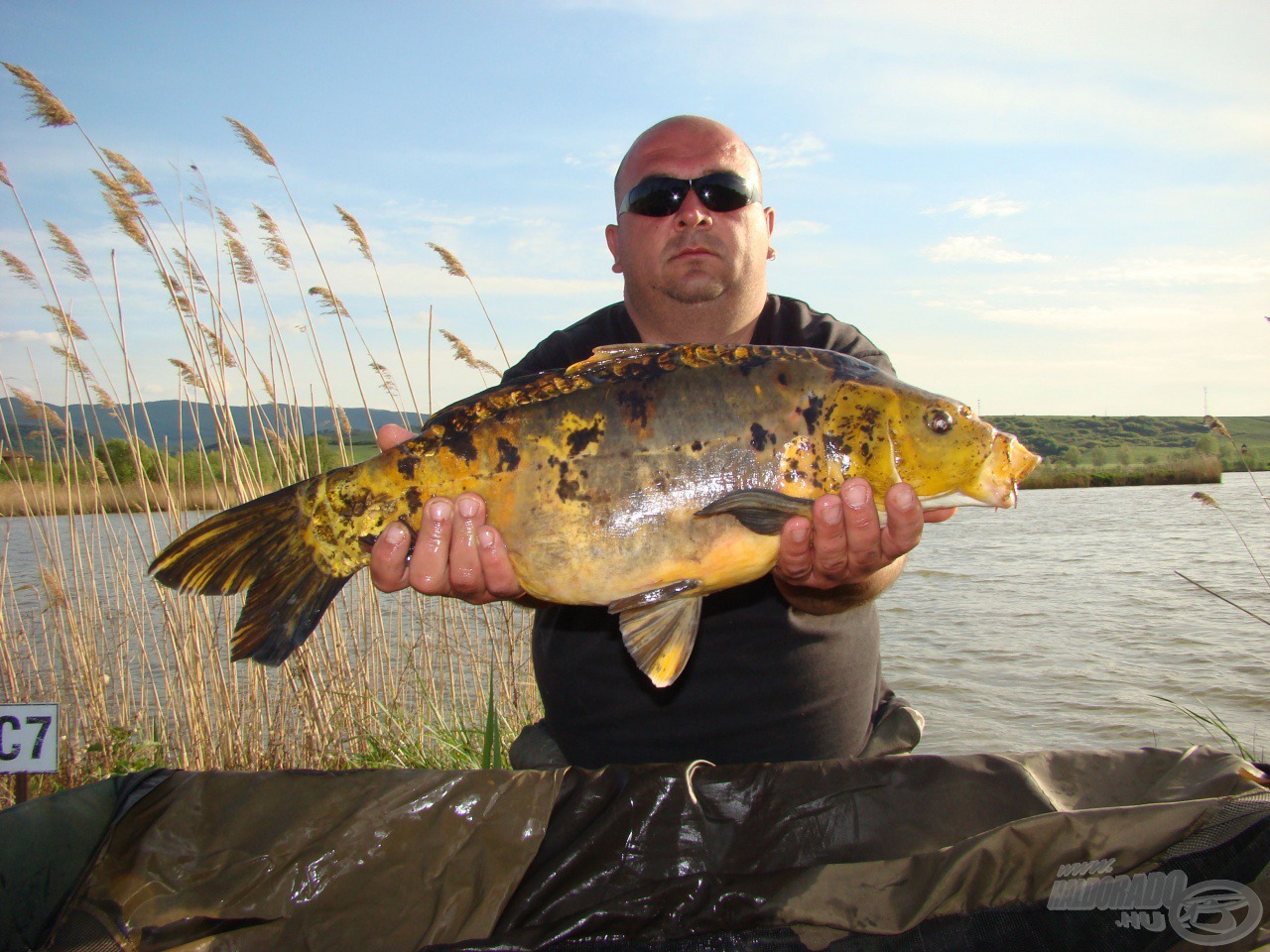 Milyen ponty is vagyok? A Mező Carp Team már tudja a választ