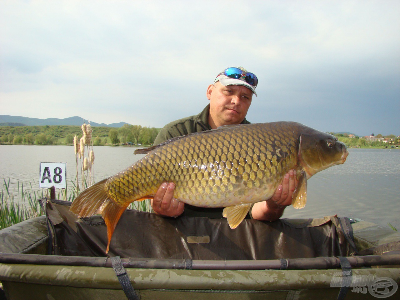 Remek nyurga, a Betyárok-Total Baits előadásában