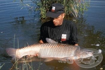 A szákolás után bánjunk vele gyöngéden