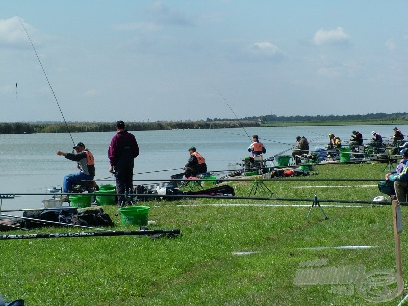 Fishing competition - horgászverseny