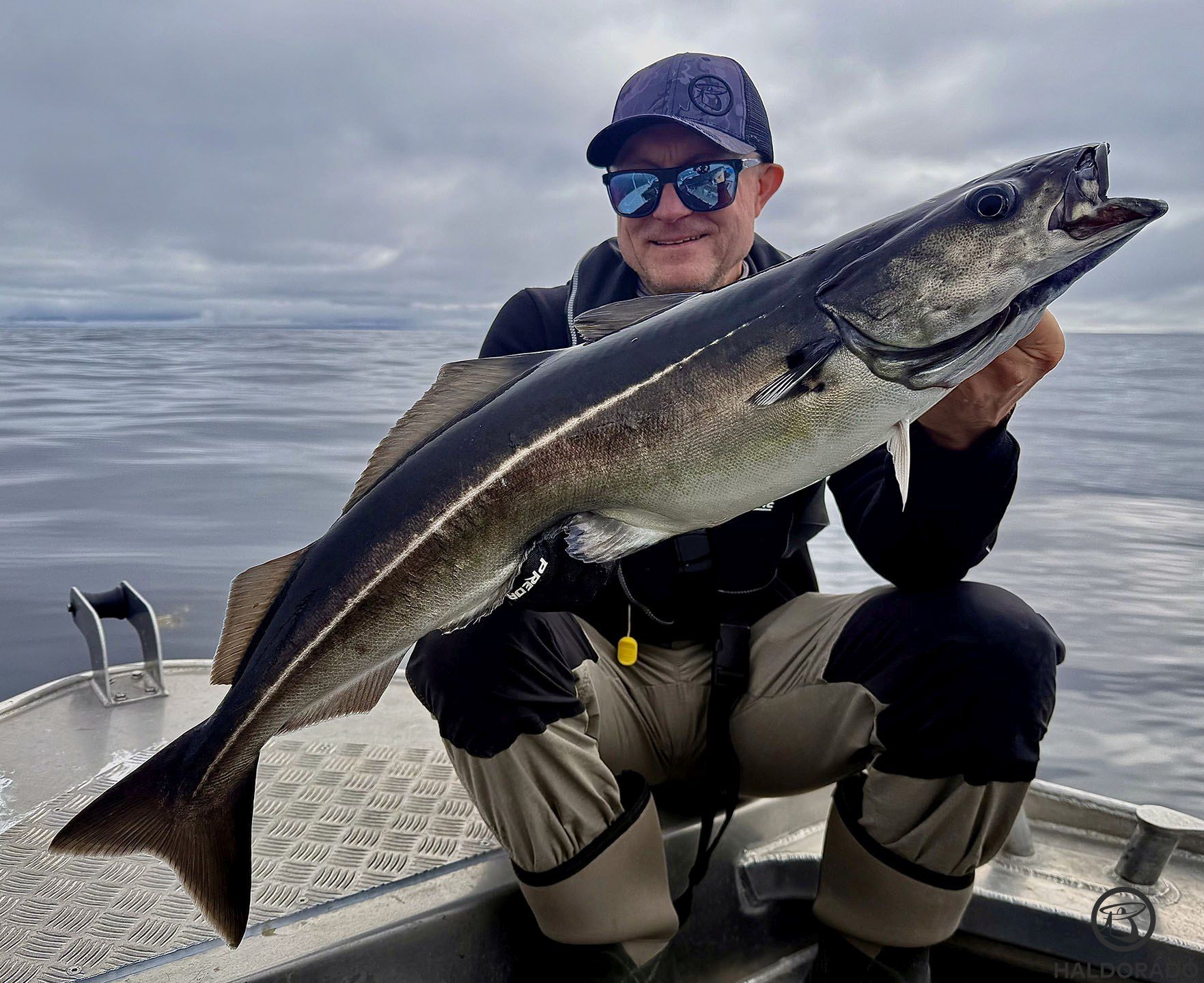Sikerült őt is megfogni, egy újabb hal kipipálva, a neve: fekete tőkehal
