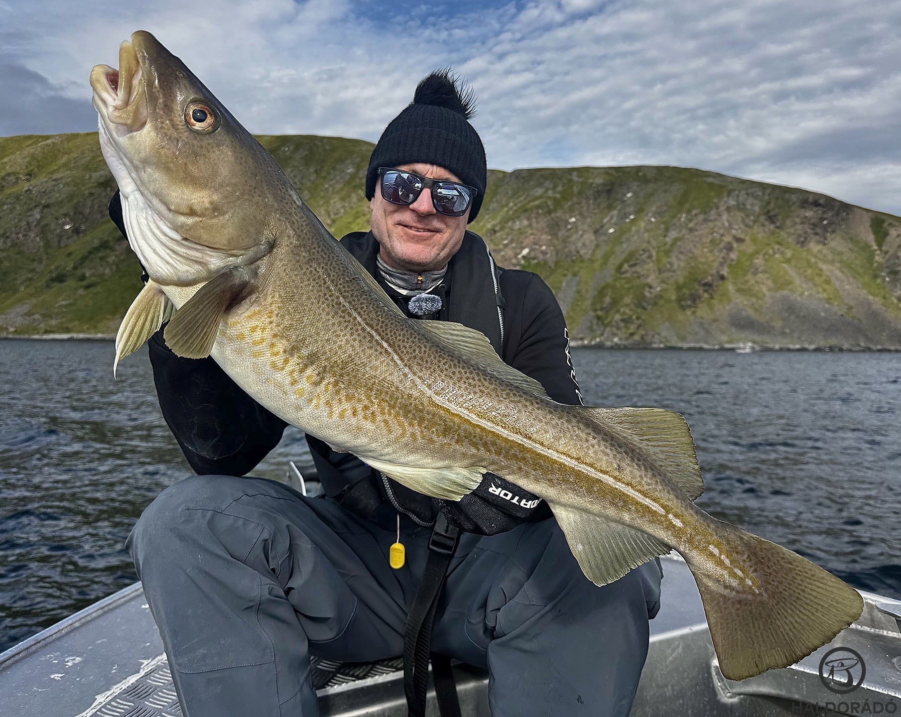 Egy újabb szép tőkehal