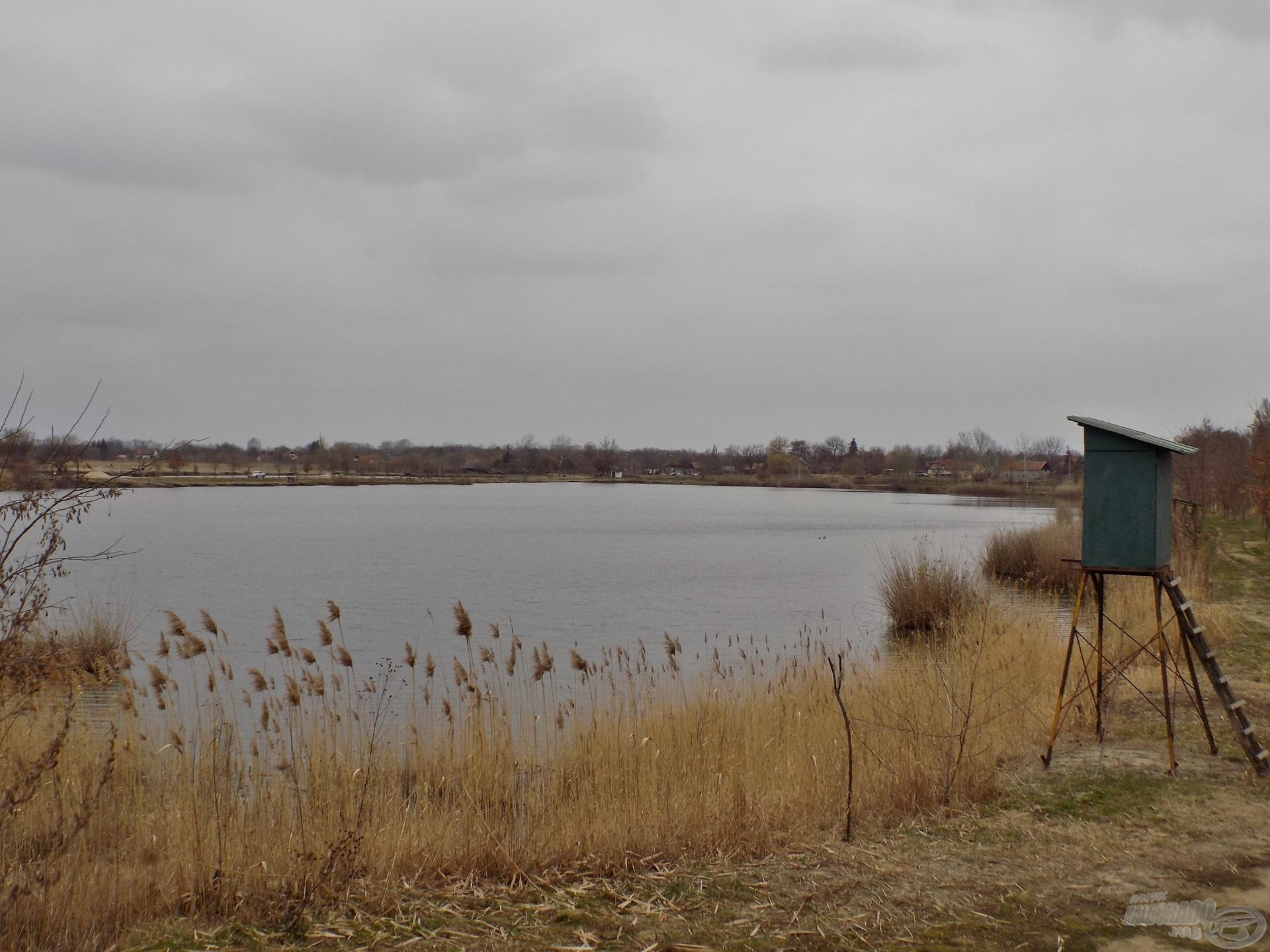 Fantasztikus panorámára pillanthatunk, amennyiben időt szánunk arra, hogy körbejárjuk a tavat. Aki kicsit is kedveli a bányatavak adta kiszámíthatatlanságot, annak bátran ajánlom ezt a vízterületet, akár feederbottal is!