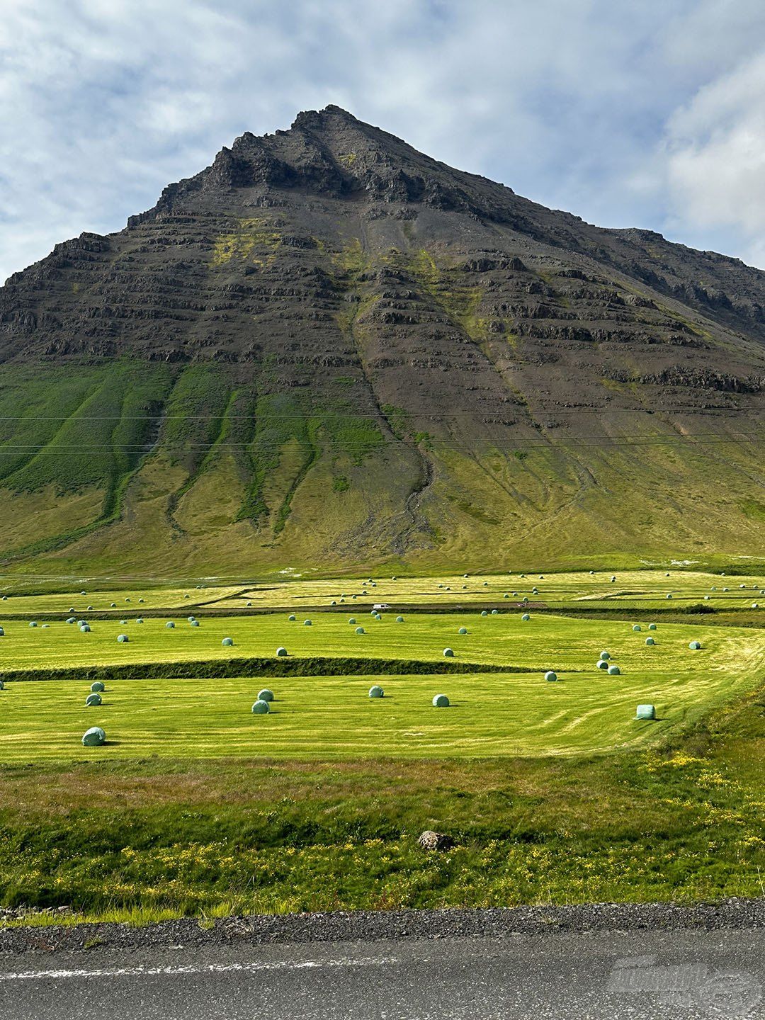 Ritka kincs a mezőgazdasági terület Izlandon