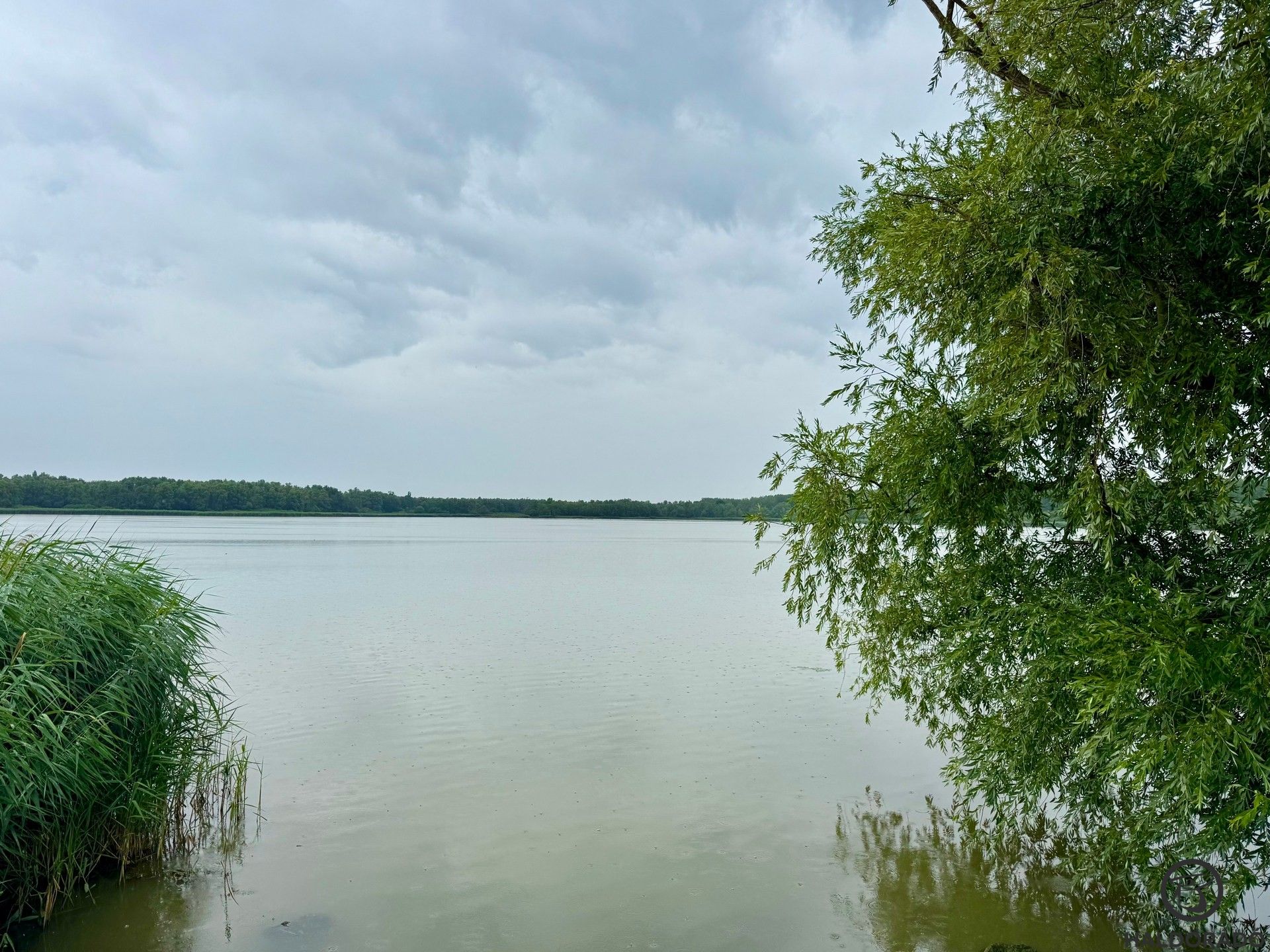 Rövid horgászatunk helyszíne ezúttal az északi tározó zalaszabari felén volt