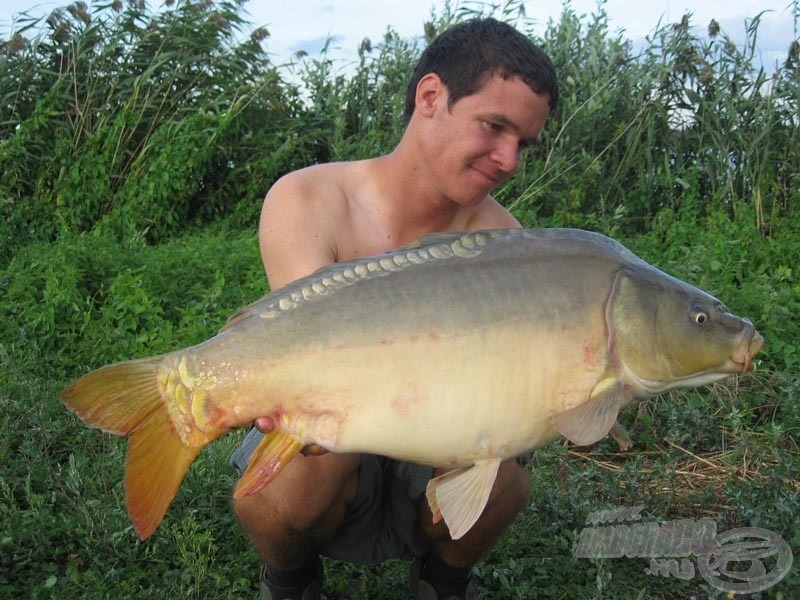 Pontosan 3/4 órával később érkezett a valamivel kisebb, 8,3 kg-os ritkásabb pikkelyzetű fajtársa