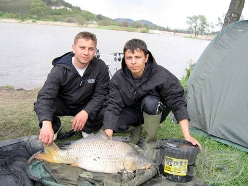 A friss, pár napos bojli az egyik fő fegyvere az SBS-SZIKO Teamnek