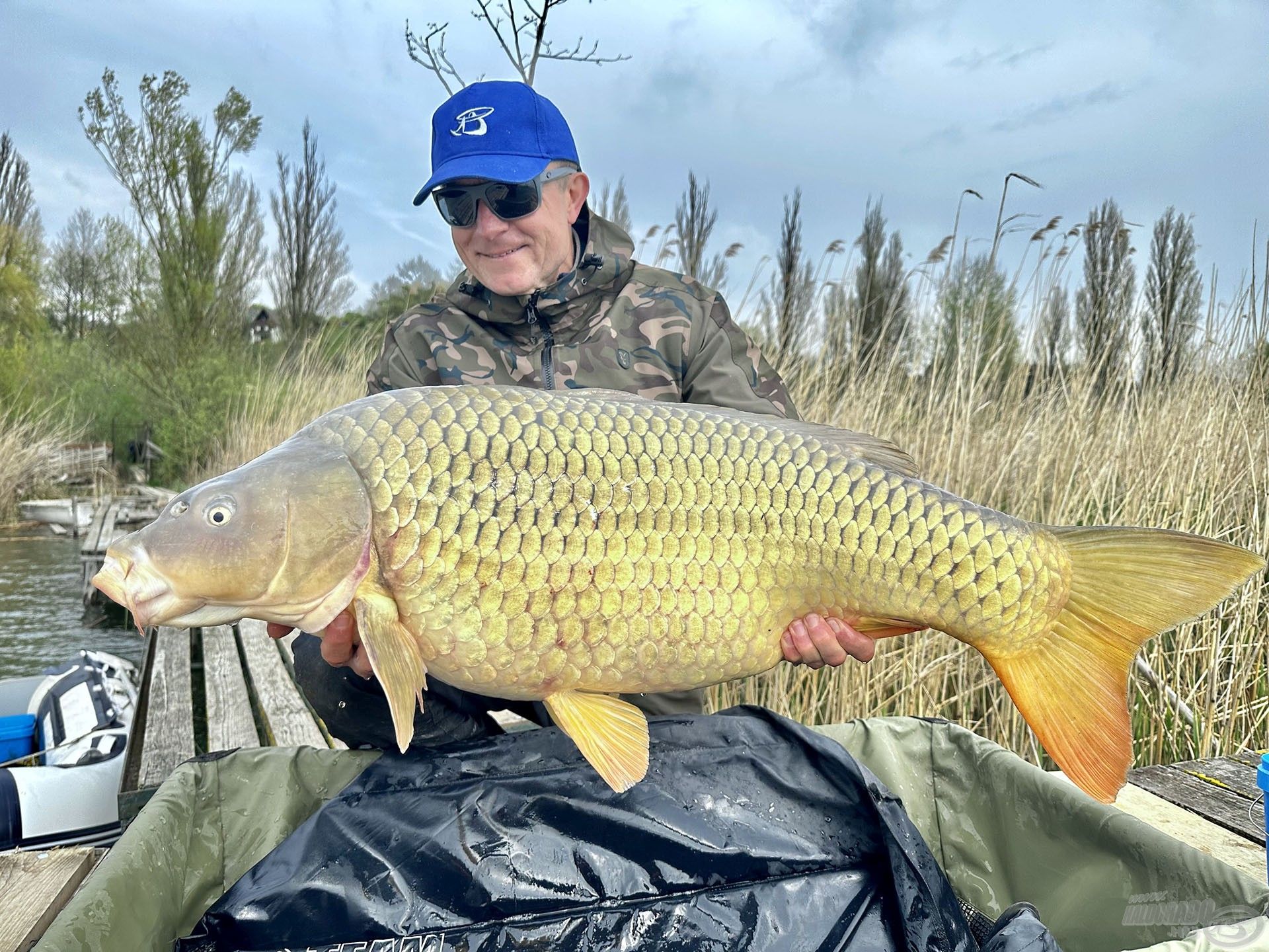 A kedvenc balatoni sudár