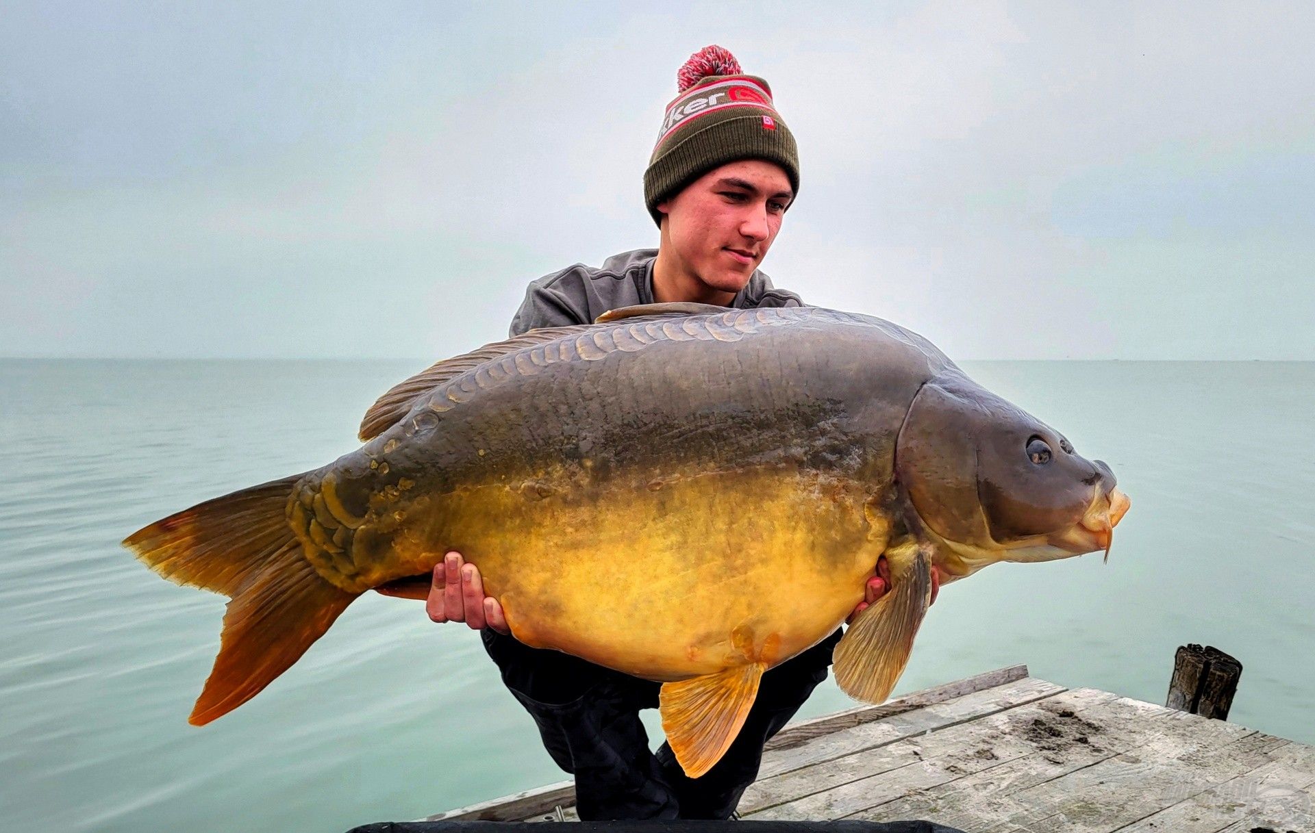 Íme, egy 20 kiló feletti tükrös, amelyet a Big Fish csábított el tavaly, október végén