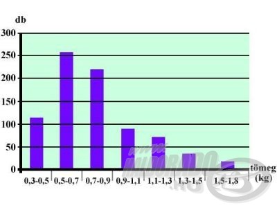 A fenti táblázat adatai grafikus ábrázolásban - jól érzékelhető, hogy az utóbbi időben leginkább a 0,5 és 1 kilogramm közötti süllők fogására számíthattunk