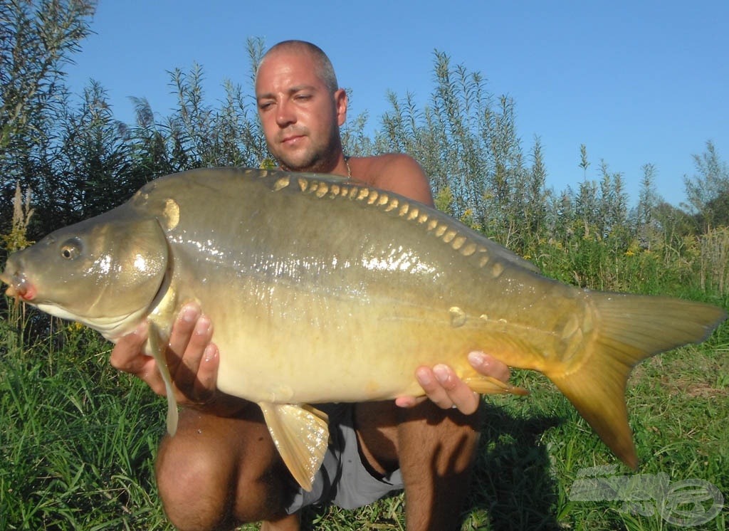 A következő ponty 11,90 kg-os volt