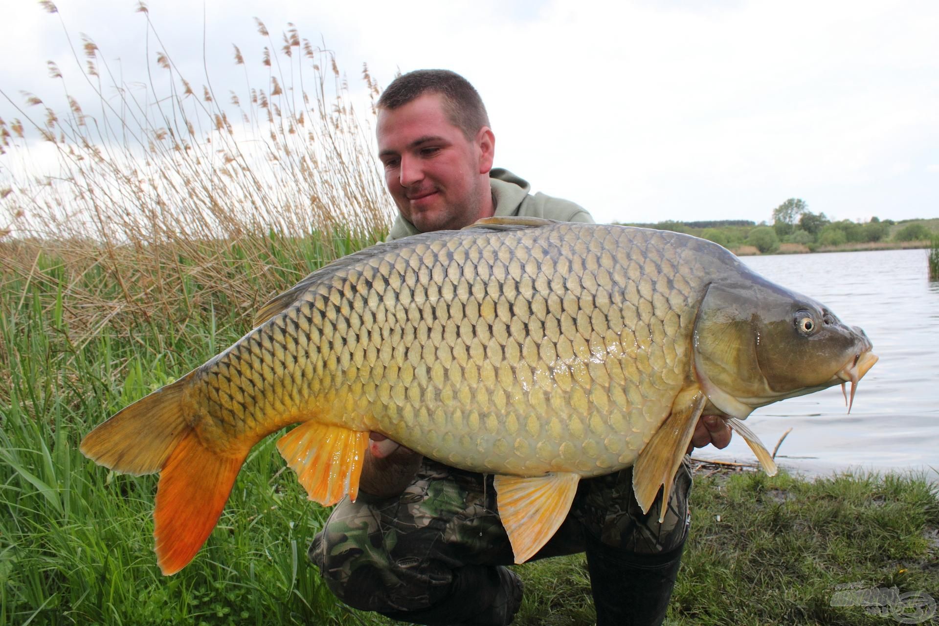 Haskó Tamás, a Haldorádó Carp Team oszlopos tagja is nagy megelégedéssel használja ezt a párost, jó szívvel ajánljuk mindenkinek!