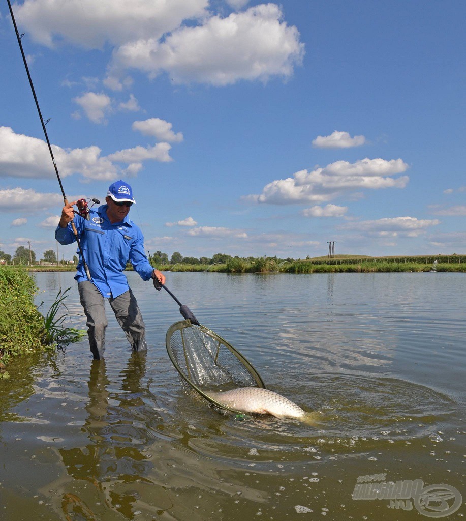 A By Döme TEAM FEEDER Master Carp rakós merítőnyelet kifejezetten ajánljuk olyan horgászoknak, akik gyakran „küzdenek” kapitális halakkal és magabiztosan szeretnék élvezni egy prémium kategóriás, rakós rendszerű merítőnyél előnyeit, mert tudják, nem fogja cserbenhagyni őket eszközük!