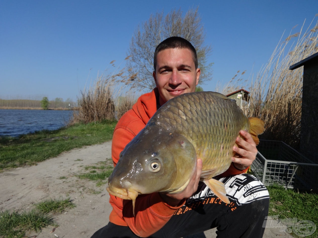 Feeder módszerrel fogott első potyka