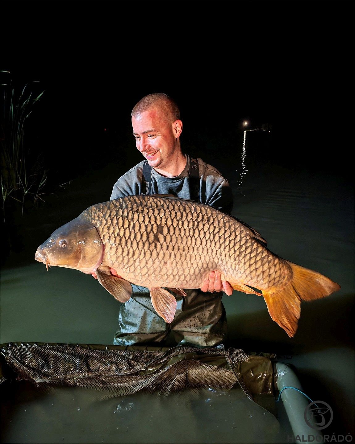 Az első ponty a nádfalról